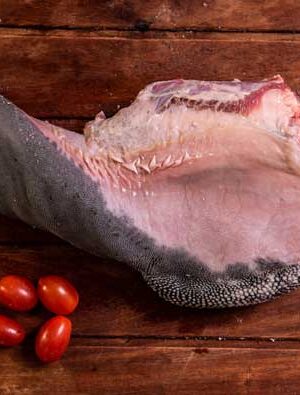 Lengua